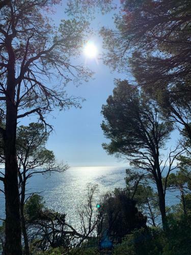 Apartamento En La Fosca, Palamos