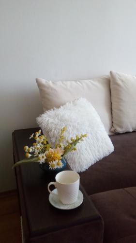 Apartamento ?????????