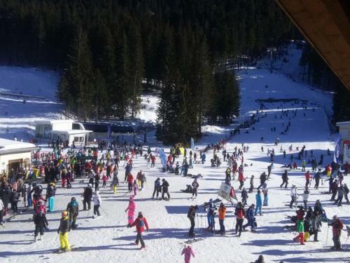 Pirin Heights - Modern Apartment Near Gondola