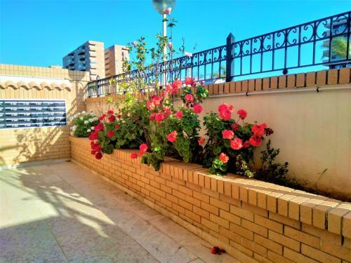 Apartamento Acv - Valparaiso-2� Linea Planta 1 Norte