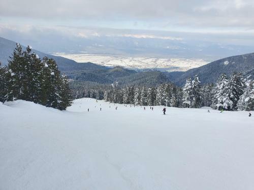 Spacious And Cosy Apartment In Bansko Royal Towers Complex
