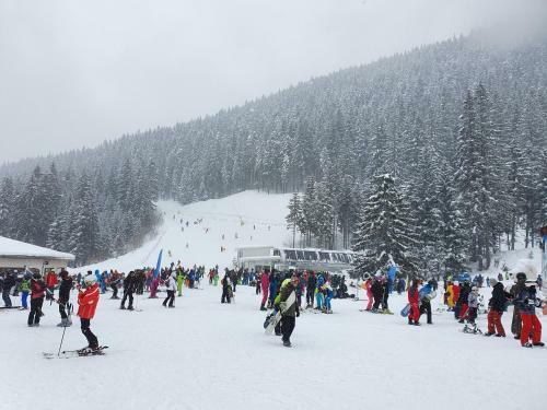 Spacious And Cosy Apartment In Bansko Royal Towers Complex