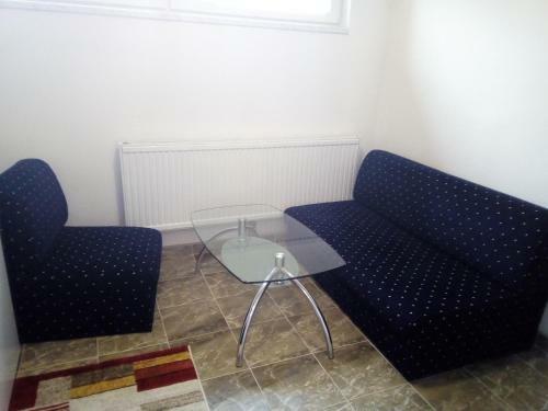 Apartman Vasiljevi?
