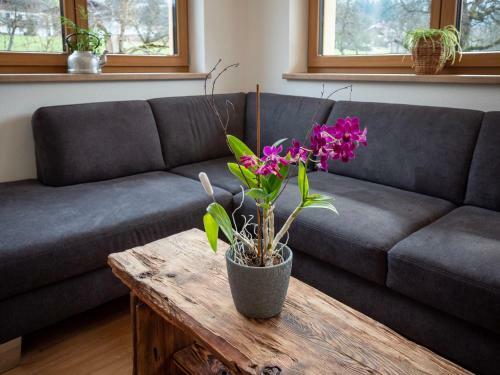 Apartamento Ferienhaus H�llwarth