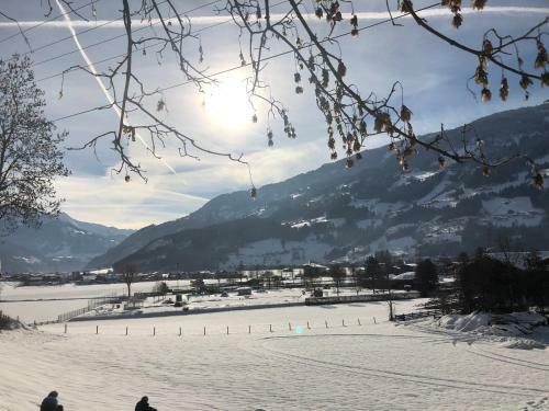 Hostal Gasthof Neumeister