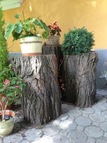 Hostal Gasthof-pension Weisz-artner