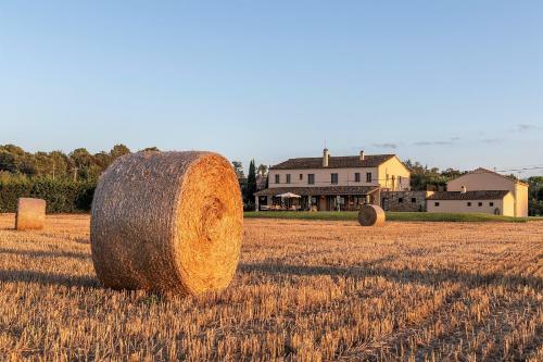 Bed & Breakfast Can Casi House Farm