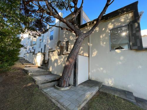 Impals Apartamento 12