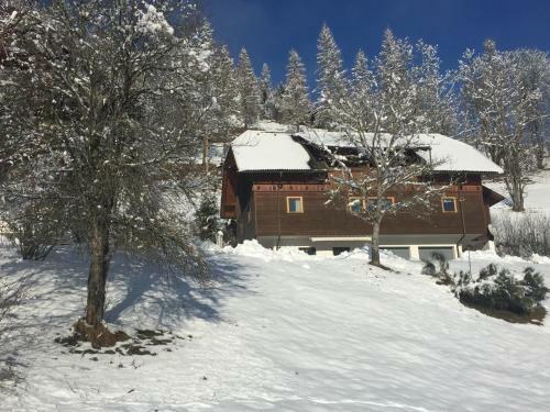 Apartamento Appartement Vidmar-wintertraum