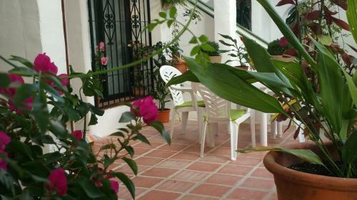 Apartamento Casa Teresa