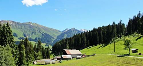 Hostal Alpengasthof H�rnlepass Kr�uterhotel