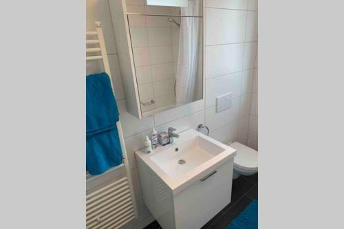Apartment S�ntisblick In Arbon Von Swisspartments