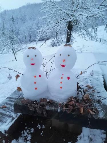 Koliba Za Odmor U Prirodi