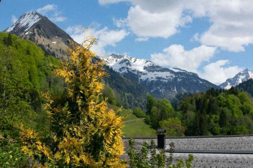Apartamento Rosa - Huusa Im Bregenzerwald