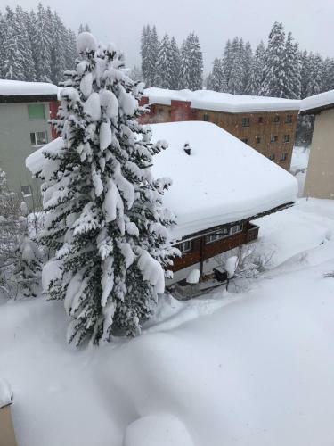 Apartamento Chalet Waldperle