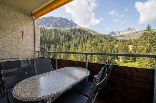 Apartamento Rothornblick 39
