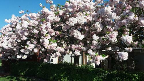 Sweet Home By The Golf Course