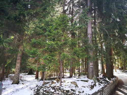 Apartamento Excellent Studios For Your Vacation-hotel Villa Park- Borovets
