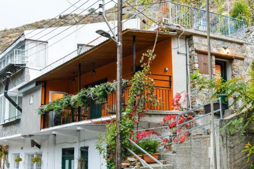 Bed & Breakfast Sophias Cottage