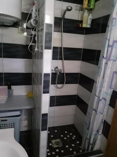 Apartamento House ?ari?
