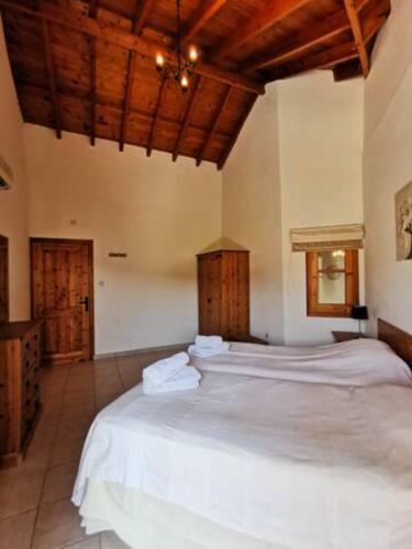 Unique Stonehouse Traditional Villa In Ayia Anna