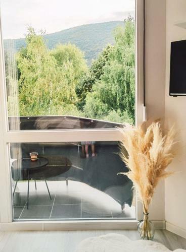 Apartamento Suite No7