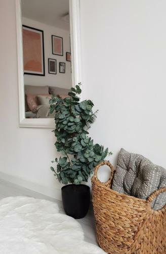 Apartamento Suite No7