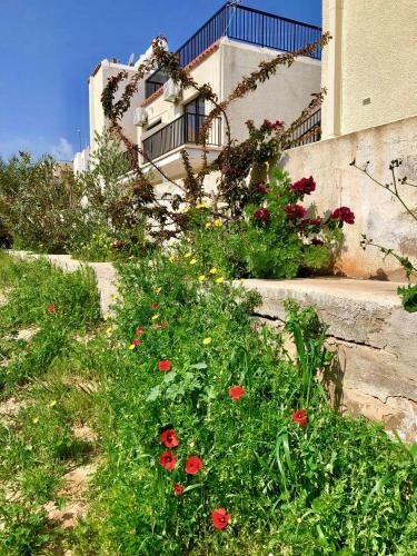 Apartamento Ksilaki_b