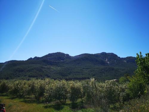 L'antic Forn de Pa�ls