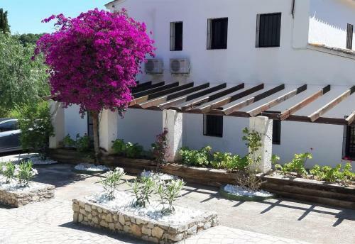 Villa Finca La Ferma