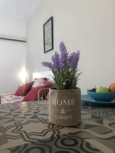 Apartamento Agianapanest Studio