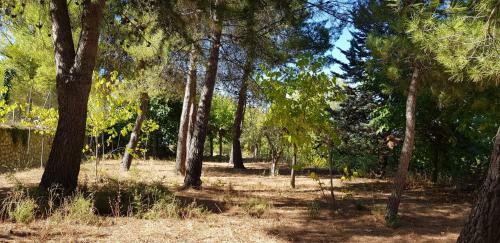 Casa Rural El Mol� - Pen�guila