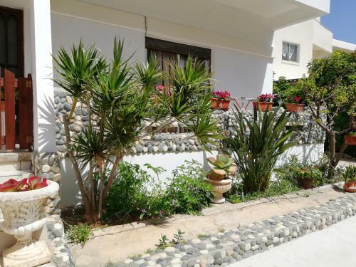 Apartamento Chicos Studios