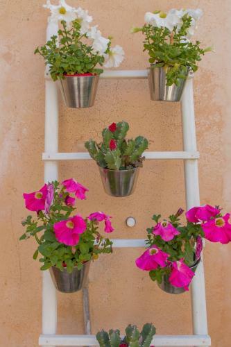Casa Font-fullana