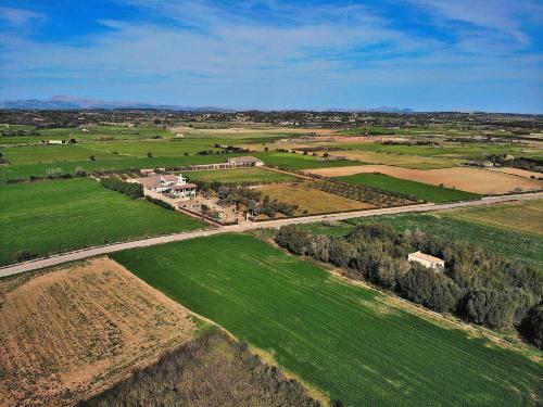 Son Perxa Finca Petra 216
