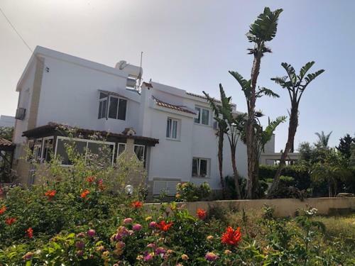 Sea Front Villa