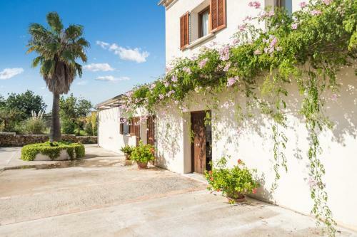 Finca Na Blanca