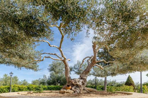 Yourhouse Son Perxa, Quiet Villa With Private Pool For 8 Guests