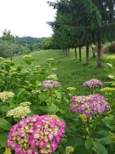 Agroturismo La Casona De Sovi�a