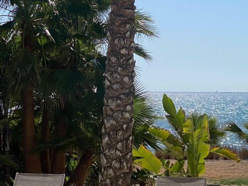 Whitekey Villa Cyprus