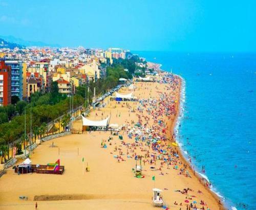Apartamento A 100 Metros de La Playa