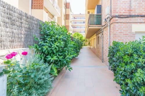Apartamento Homeholidaysrentals Doris