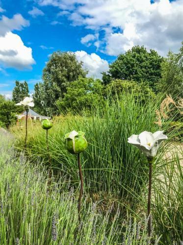 Vakantieverblijf Alfzotmolen