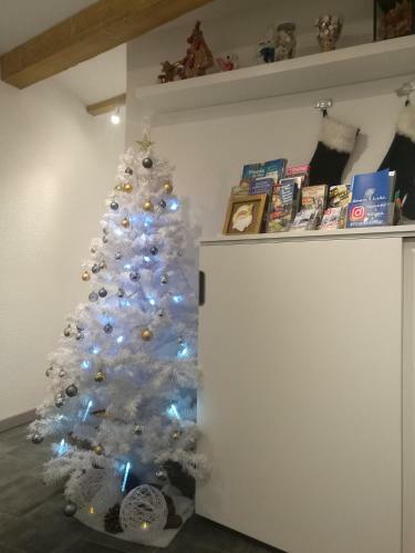 Asv Apartments