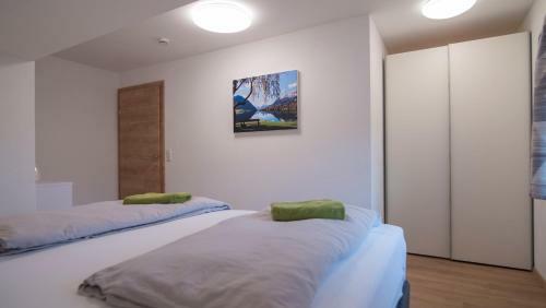 Das Johann Apartments Im Ausseerland