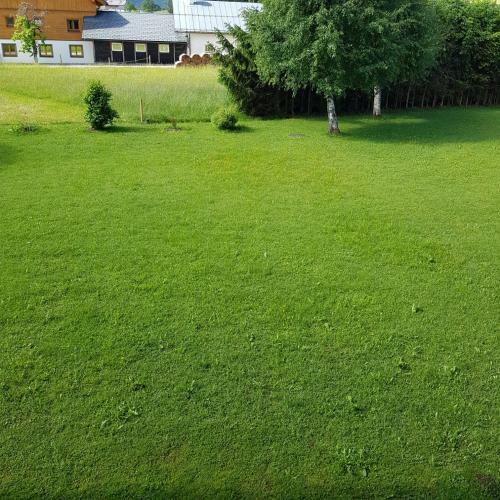 Apartment Dachsteinblick