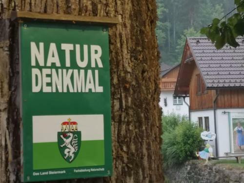 Apartamento Appartement Mit Doppelbett Oder 2 Einzelbetten