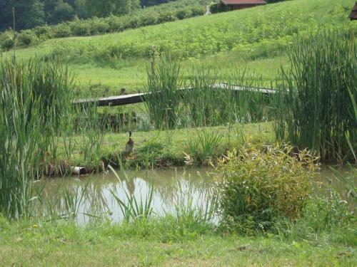 Agroturismo Bauernhof Grain