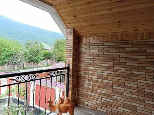 Apartamento ?mmense Villa