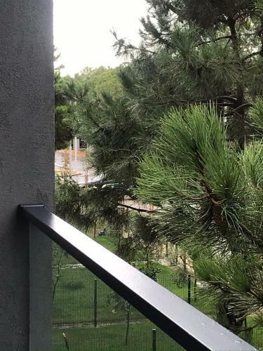 Julia's Valamar Beach Apartment